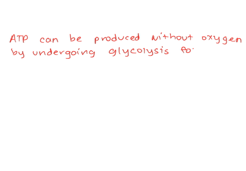 explain-how-atp-can-continue-to-be-produced-in-theabsence-of-oxygen-32894
