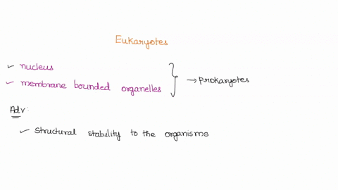 list-at-least-two-features-that-are-found-in-eukaryotes-but-not-prokaryotes-what-are-the-advantages-provided-by-these-features-2-pts-eukaryotes-have-nucle-containing-dna-while-prokaryotes-la-47384