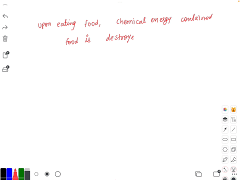 study-guide-upon-eating-food-the-chemical-energy-upon-eating-food-the-chemical-energy-contained-within-the-food-is-destroyed-by-the-process-of-digestion-group-startstrue-or-false