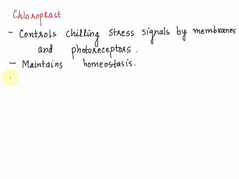 organelles-within-a-cell-interact-as-a-system-to-maintain-homeostasis-the-destruction-of-which-of-the-following-organelles-would-cause-the-most-damage-to-the-cytoplasm-of-a-cell-ribosome-b-c-02669