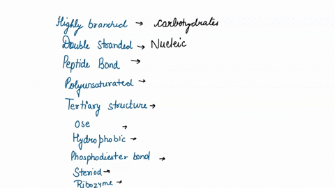 there-are-four-major-classesof-polymeric-biomolecules-nucleic-acidsproteins-carbohydrates-and-lipids-each-of-these-groups-essential-for-life-to-exist-listed-below-on-the-left-are-characteris-99006