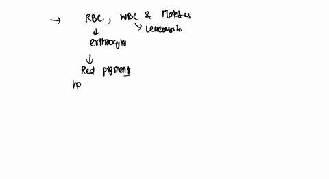 what-is-the-function-of-red-blood-cells-whote-blood-cells-platelets-11186