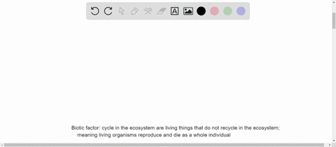 explain-how-matter-cycles-through-biotic-and-abiotic-components-of-an-ecosystem-63648
