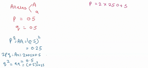 fixation-of-dominant-alleles-start-with-a-population-that-has-a-gene-with-two-alleles-a-and-a-with-classical-mendelian-dominance-that-are-at-equal-frequency-p-05-q-05-assume-this-first-gener-38116