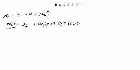 which-of-the-following-metabolic-processes-within-plant-cell-produce-carbon-dioxide-select-allcorrect-answers-glycolysis-none-of-the-above-plants-consume-but-do-not-produce-carbon-dioxide-ge-28686