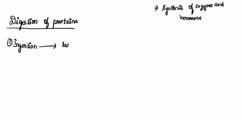 proteins-are-vital-for-biological-function-as-you-learned-in-chapter-3-proteins-are-made-from-chains-of-amino-acids-we-will-learn-later-this-year-about-animal-diet-what-varieties-of-foods-an-26997