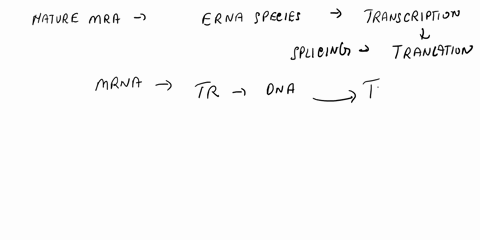 which-of-the-following-is-not-a-modification-of-a-mature-mrna-transcript-a-methyl-cap-added-to-the-5-end-b-poly-a-tail-added-to-the-3-end-c-introns-are-spliced-out-d-alternative-introns-are-63622