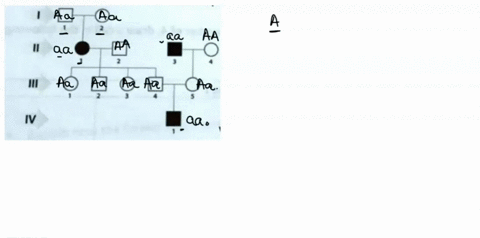 use-the-following-pedigree-to-answer-the-questions-below-what-type-of-inheritance-is-shown-in-the-pedigree-what-would-be-the-genotypes-of-individual-iil-4-individual-iii-_-5-what-is-a-real-l-52896