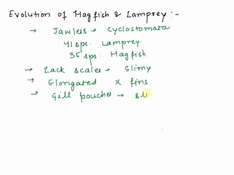 describe-the-evolution-of-hagfish-and-lampreys-91179