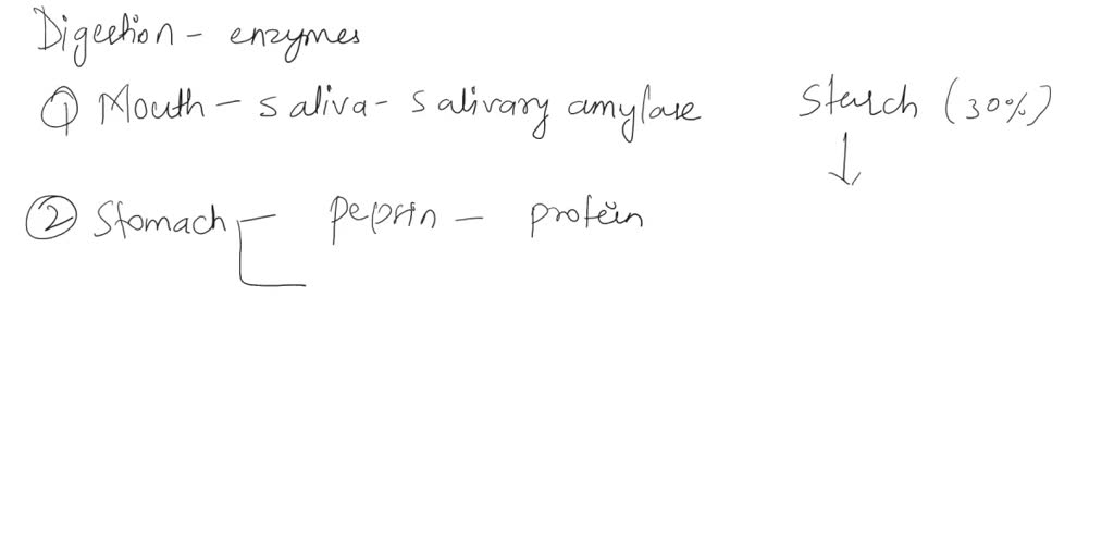 SOLVED Describe the mechanism of food digestion in humans under