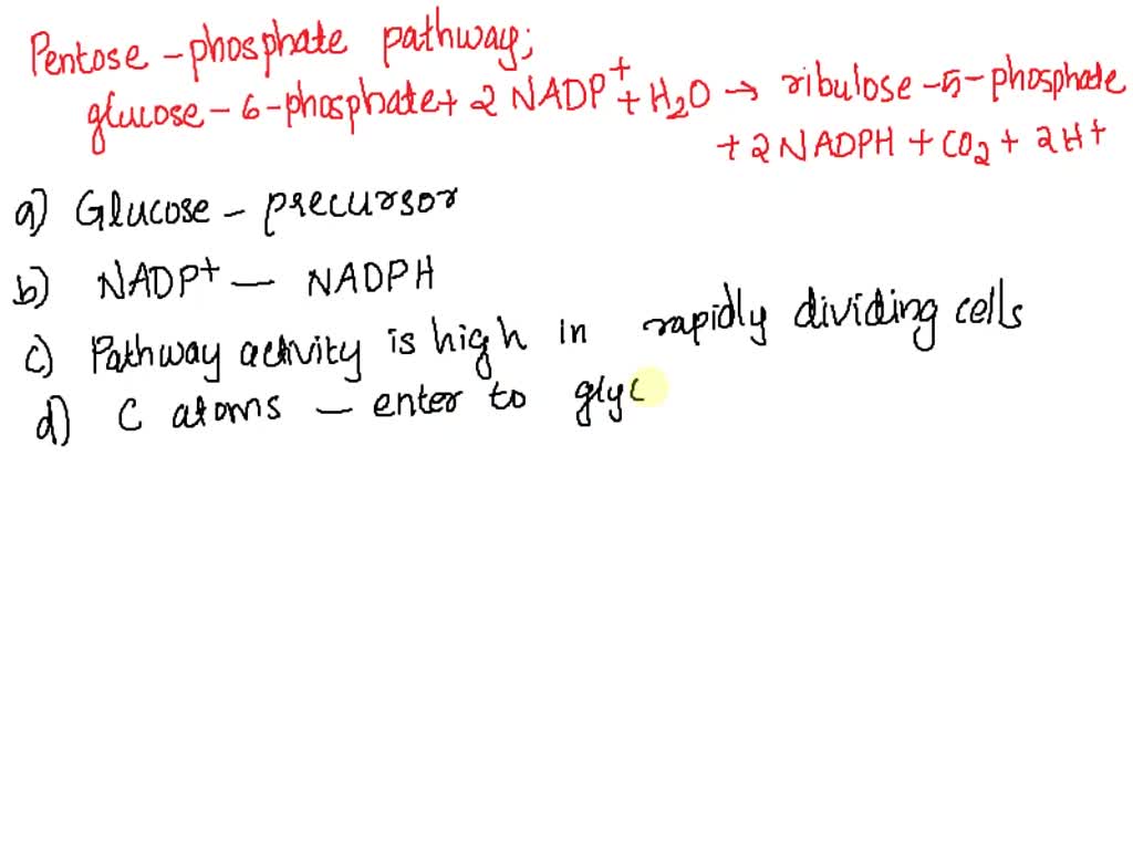 SOLVED: 5. The oxidative phase of the pentose phosphate pathway ...