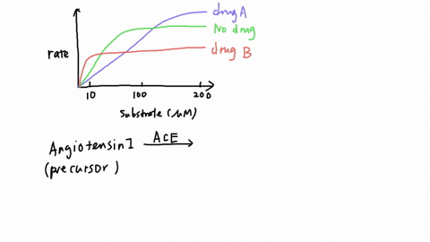part-3-regulating-enzyme-activity-you-are-studying-the-effect-of-different-drugs-on-the-ace-enzyme-you-measure-the-rate-of-the-reaction-at-several-different-angiotensin-substrate-concentrati-90695