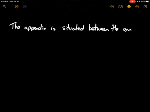 whats-situated-between-the-end-of-the-small-intestine-and-the-large-intestine-a-the-gall-bladder-b-the-esophagus-c-the-appendix-d-the-pancreas-other-specify-2