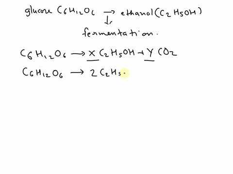 yeast-converts-glucose-c6h2o6-into-ethanol-czhoh-in-a-process-called-fermentation-the-associated-chemical-equation-for-the-reaction-can-be-written-as-follows-cshizos-xczhsohycoz-1kg-of-gluco-53413
