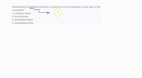 which-phase-of-deglutition-involves-contraction-of-the-longitudinal-muscle-layer-of-the-muscularis-a-63902