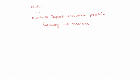 question-3-133-2-pts-choose-all-that-apply-the-nls-nuclear-localization-signalsequence-is-recognized-by-a-soluble-nuclear-import-receptor-protein-in-the-cytoplasm-and-taken-to-the-nuclear-po-02622