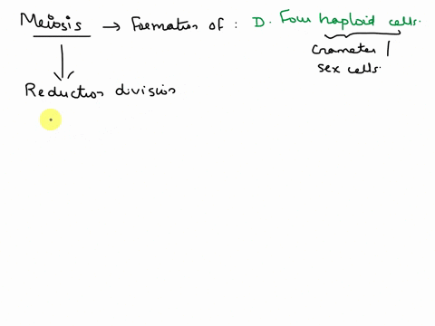 what-is-one-result-of-meiosis-a-two-haploid-cells-b-four-diploid-cells-c-two-diploid-cells-d-four-haploid-cells-87814