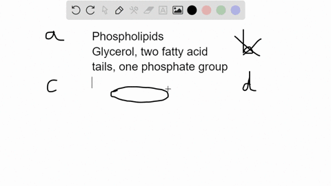 a-phospholipid-__________-a-has-both-polar-and-nonpolar-regions-b-is-made-up-of-a-triglyceride-bonde-62716