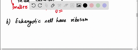 which-statement-is-true-for-both-prokaryotic-and-eukaryotic-cells-aprokaryotic-cells-are-generally-much-larger-than-eukayotic-cells-b-eukaryotic-cells-have-ribosomes-and-prokaryotic-cells-do-not-c-bot