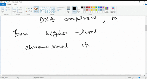 with-which-of-the-following-structures-does-histone-h1-primarily-associate-group-of-answer-choices-h3h4-tetramer-the-histone-octamer-linker-dna-h2ah2b-tetramer-nucleosome-core-particle-which-02546