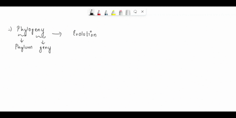 what-is-phylogeny-explain-the-differences-between-monophyletic-paraphyletic-and-polyphyletic-groups-explain-why-only-one-of-those-groups-is-considered-acceptable-for-classification-purposes-87758