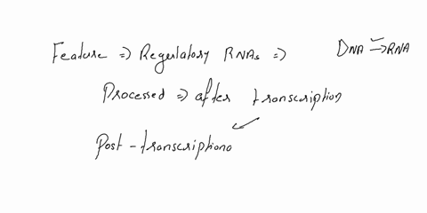 1-which-of-the-following-is-not-a-feature-of-regulatory-rnas-athey-are-processed-after-transcription-b-they-have-different-biological-effects-in-bacteria-and-eukaryotes-c-they-identify-targe-72978