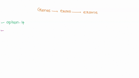 genes-are-composed-of-exons-and-all-the-exons-in-the-genome-comprise-the-exome_-using-a-fermi-estimation-what-is-a-reasonable-estimate-for-the-size-of-the-human-genome-3-x-10e6-bp-3-x-10e7-b-16673