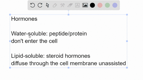 hormones-can-be-classified-based-on-their-solubility-some-are-water-soluble-and-some-are-lipid-soluble-how-do-these-two-types-of-hormones-differ-in-the-way-they-exert-their-effects-on-their-77316