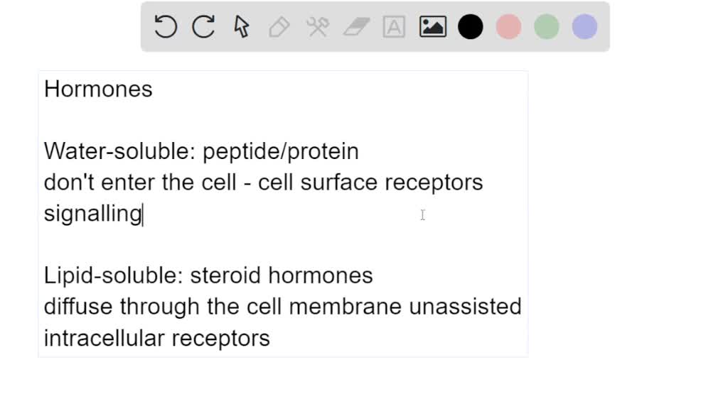 SOLVED Hormones can be classified based on their solubility, some are