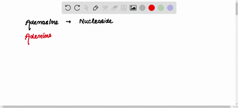 adenosine-is-an-example-of-a-example-of-a-sugar-nitrogenous-base-nucleoside-nitrogenous-base-dna-molecule-rna-molecule-nucleoside-nucleotide-nitrogenous-base-nucleoside-whereas-adenine-is-an-06814