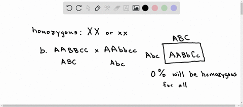 what-proportion-of-the-offspring-of-the-following-crosses-involving-independent-segregation-will-be-homozygous-for-all-gene-pairs-show-the-result-of-the-cross-b-aabbcc-x-aabbcc-c-aabbcc-x-aabbcc