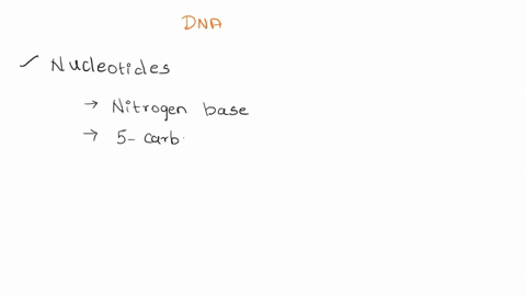 dna-is-made-up-of-subunits-called-nucleotides-each-subunit-is-composed-of-and-31747