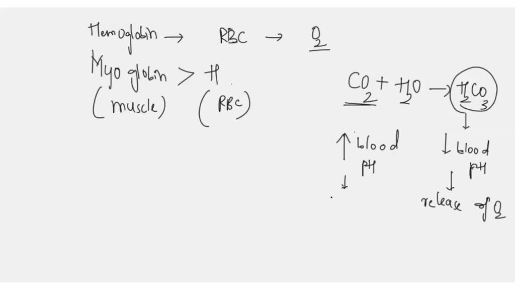 solved-what-is-true-about-23-bisphosphoglycerate-2-3-bpg-regulation