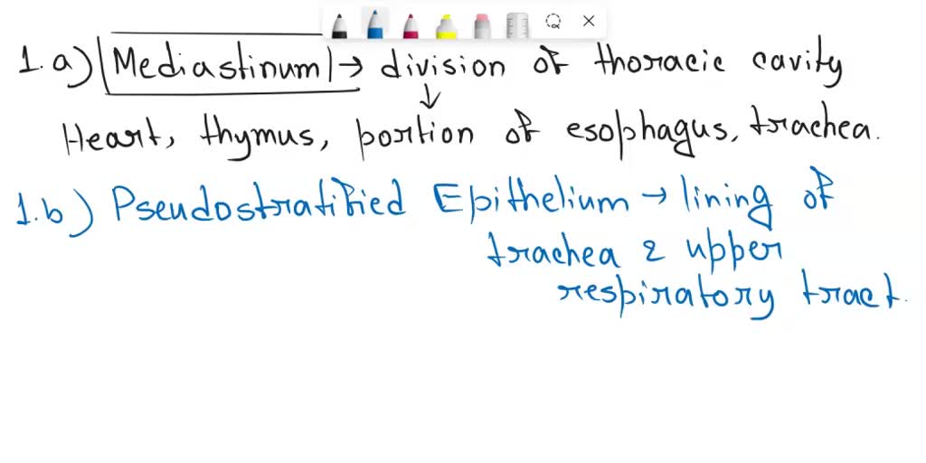 SOLVED Complete the sentences describing membranes in the pleural