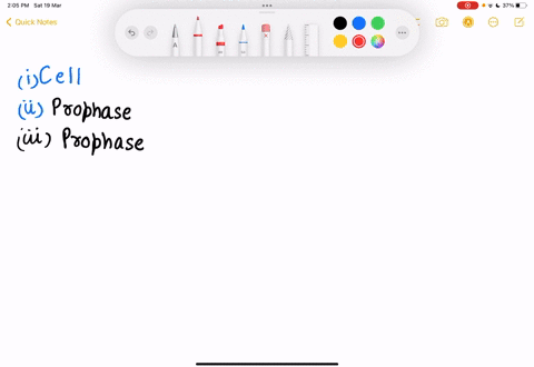 mitosis-is-the-division-of-the-_____-and-begins-with-a-stage-called-____-as-the-nuclear-envelope-finishes-dissolving-the-cells-enter-____-where-microtubules-from-the-spindle-attach-to-the-du-31043