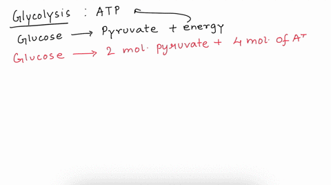 SOLVED: In glycolysis, the first stage of cellular respiration, ATP