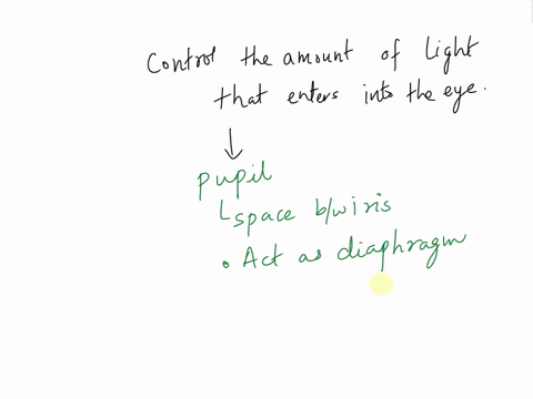 which-structure-controls-the-amount-of-light-that-enters-the-eye-35906