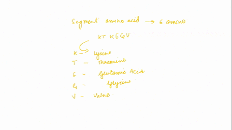 which-of-the-following-amino-acids-is-amphipathic-lysine-glycine-valine-glutamic-acid-27605