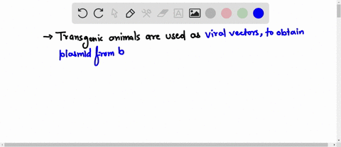 transgenic-animals-are-currently-used-______-a-as-vectors-for-use-in-cloning-human-dna-b-to-obtain-plasmids-c-as-food-d-to-produce-potentially-useful-proteins-e-all-of-the-above-41238