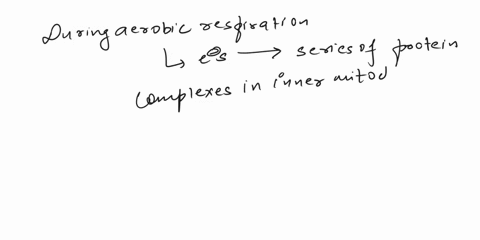 what-molecule-is-the-final-electron-acceptor-for-the-electron-transport-chain-in-aerobic-respiration-82305