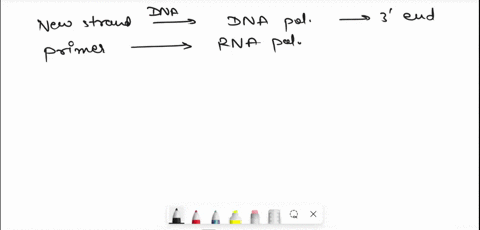 dna-molecule-mde-oftu-bonds-thcre-are-three-hydrogen-bonds-foncd-betucen-tbc-bists-and-wo-hy-4torc-bonds-balueen-ihe-bie-chains-hich-are-held-together-thc-dna-molecule-polynuclotide-chains-a-39877
