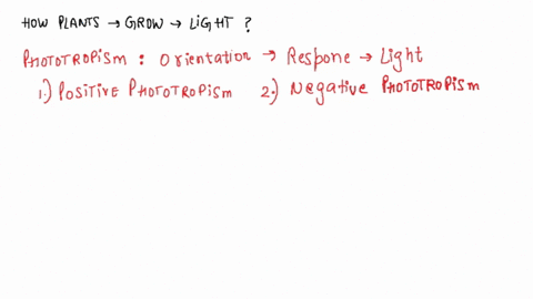 explain-how-plants-grow-toward-light-why-is-this-response-adaptive-4-52843