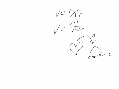 why-is-the-velocity-of-blood-flow-faster-in-arteries-and-veins-than-in-capillaries-19276