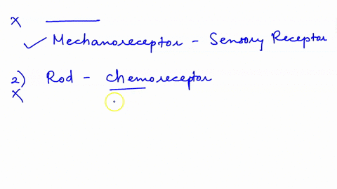 32-2-points-which-of-the-following-sensory-receptors-is-correctly-paired-with-its-category-hair-cell-nocireceptor-rod_-chemoreceptor-taste-receptor-chemoreceptor-muscle-spindle-electromagnet-73348