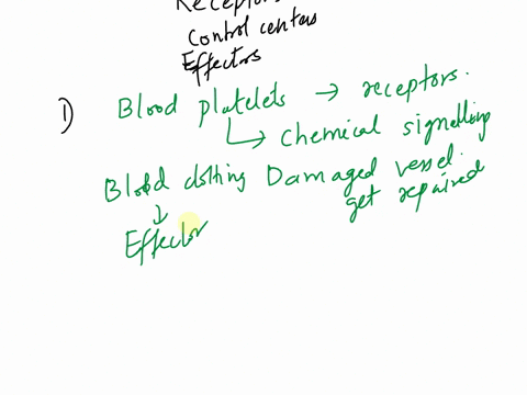 what-are-the-receptors-the-control-centers-and-the-effectors-of-the-following-blood-clotting-is-dictated-by-positive-feedback-when-a-vessel-is-damaged-platelets-instantly-begin-to-repair-the-72232