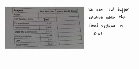 you-have-been-assigned-the-task-of-samples-and-need-to-performing-pcr-on-seven-different-experimental-dna-the-prepare-a-master-mix-prior-to-are-setting-up-the-pcr-reaction-listed-below-reage-29956