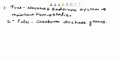1-in-human-beings-nervous-system-and-endocrine-system-work-together-tocontrol-and-coordinate-all-our-activities2-cerebrum-does-not-have-folds-and-grooves3-the-cerebrum-is-shaped-like-a-stem4-04559