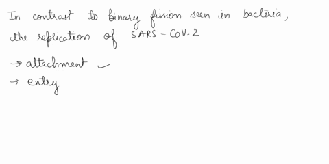 explain-why-todays-pandemic-of-covid-19-does-not-go-through-binary-fission-please-be-detailed-of-replication-for-covid-19-add-pics-if-you-want-74848