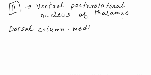the-soma-of-third-order-neurons-of-the-dorsal-column-medial-lemniscus-pathway-are-located-in-the-a-ventral-posterolateral-nucleus-of-the-thalamus-b-ventral-posteriomedial-nucleus-of-the-thal-45324
