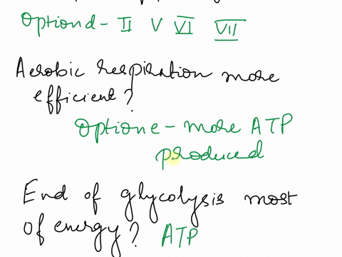 multiple-choice-answers-only-11-which-of-the-following-phrases-apply-to-the-dark-phase-of-photosynthesis-i-the-process-takes-place-in-the-thylakoids-of-the-chloroplasts-ii-there-is-carbon-fi-20492